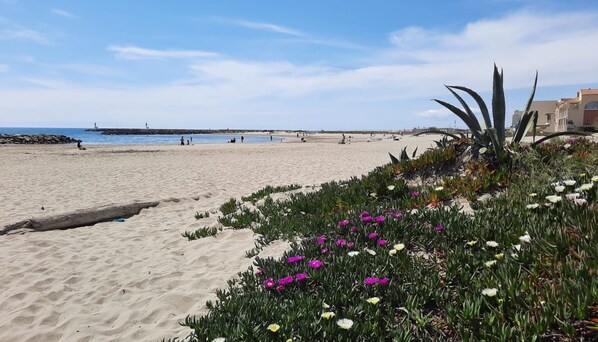 Beach nearby, sun-loungers