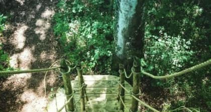 La cabane Au fil de l'eau Ă 8 mĂštres de hauteur