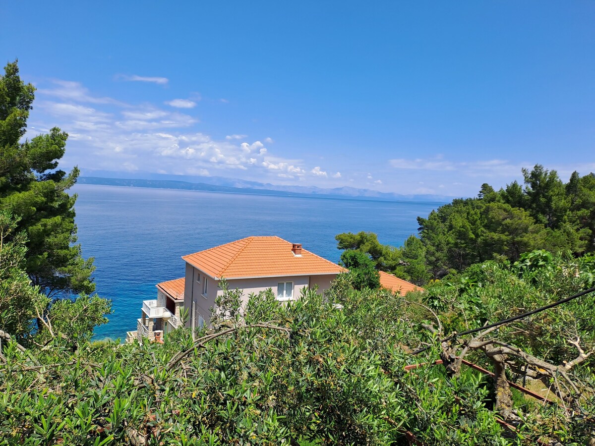 Bild für Gastgeberprofil