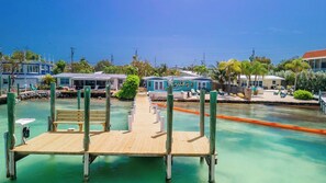 Property grounds - Sandy Shores and Sunsets in your own back yard 4 bed 4 bath with pool and dockage (Marathon)