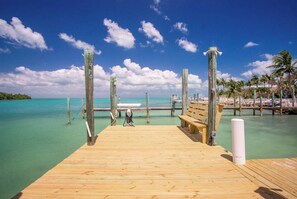 Unclassified image, 4 of 50, button