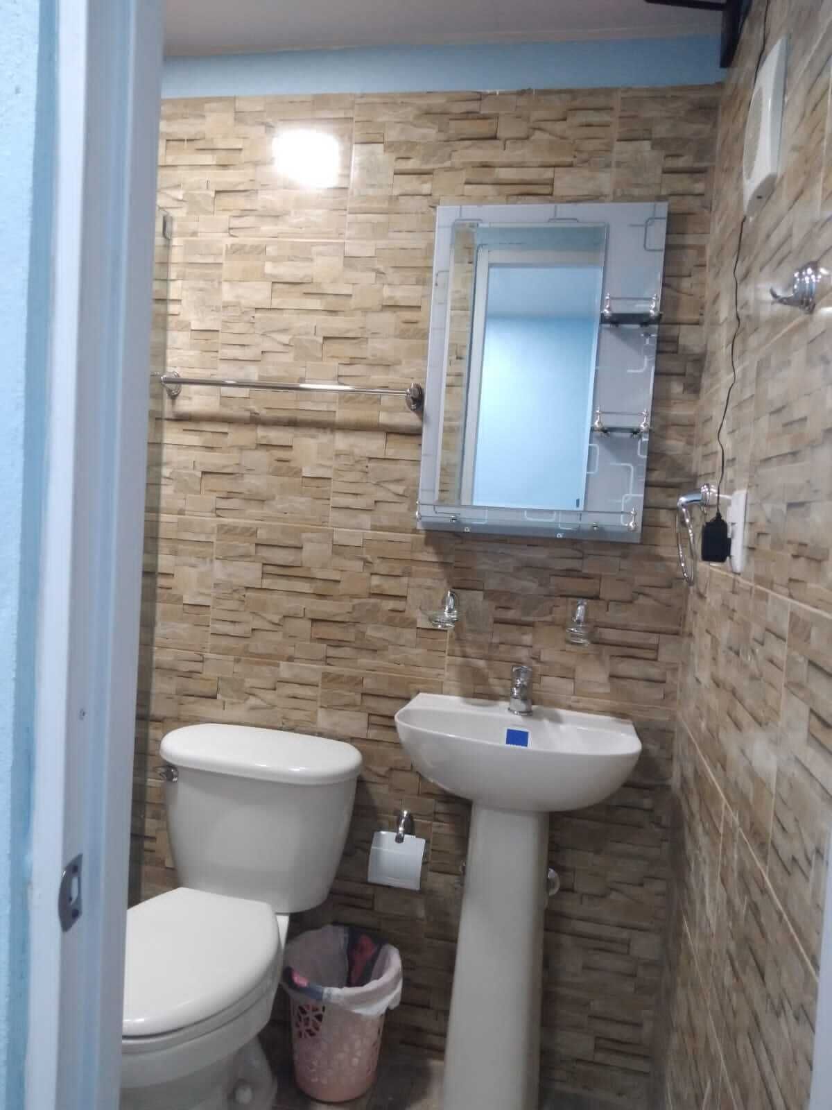 Une salle de bain avec un mur décoré d’un motif imitant la pierre, des toilettes, un lavabo et un miroir.