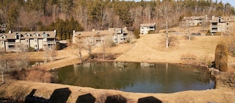 Chetola Resort in BR, Sierra 2, Downtown Blowing Rock