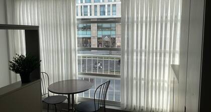 Luxurious suite in the center