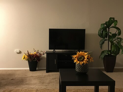 Loving condo between DFW and Love field airports