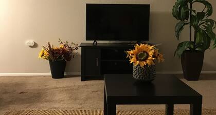 Loving condo between DFW and Love field airports