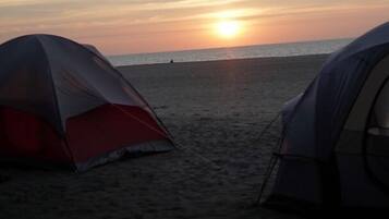 Tents stand parallel to the ocean, offering a serene beachside retreat.
