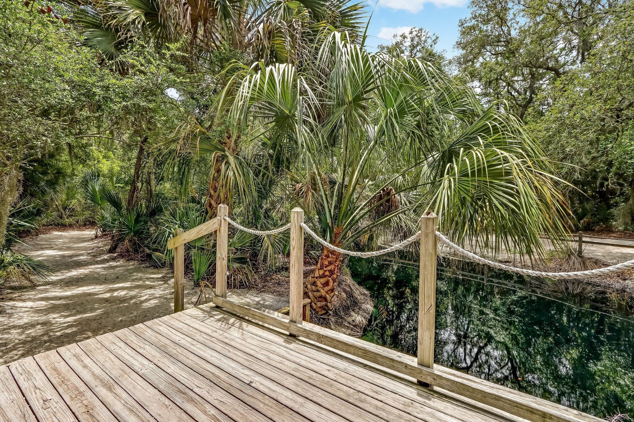 A wooden boardwalk leading through a dense, tropical forest with a rope barrier.