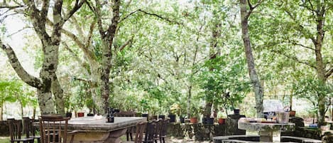 Restauration en plein air