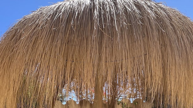 Une structure à toit de chaume, avec deux lits en osier et des plantes en pot.