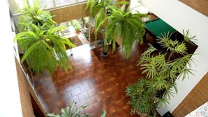 A spacious indoor area with a wooden floor, several potted plants, and a glass partition. - Ancona Center Hotel (Amparo)