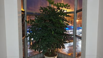 Televisión LED 32 pulgadas con canales de televisión vía satélite