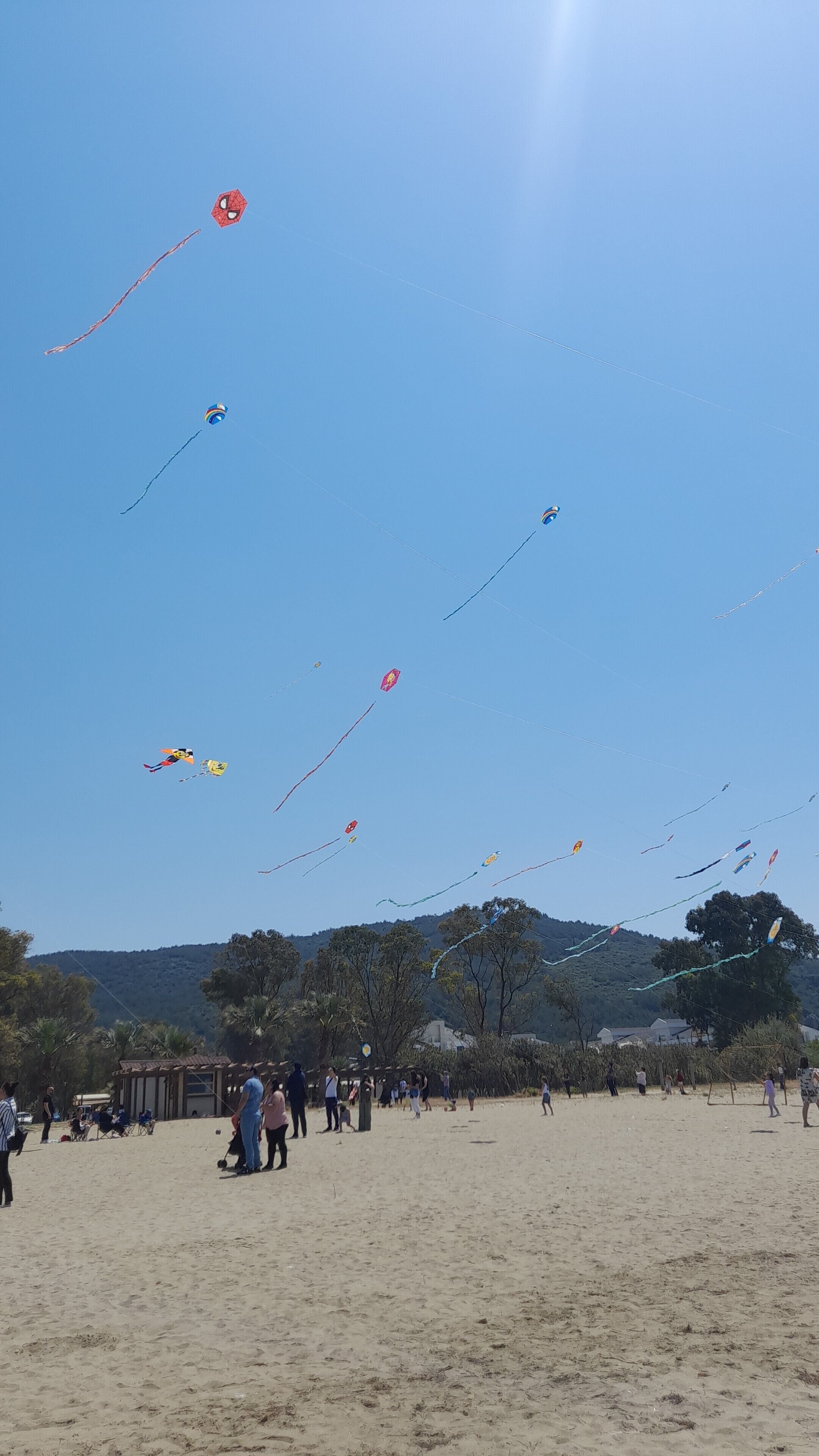 Une plage où l’on fait voler des cerfs-volants, sous un ciel dégagé.