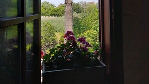 A window with a view of a palm tree and a garden with flowers. - Casa Callinos (Selçuk)