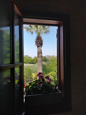 Chambre Simple | Vue de la chambre