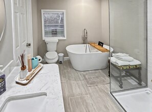Combined shower/bathtub, hair dryer, towels - Plum Lazy on the Potomac (Shepherdstown)