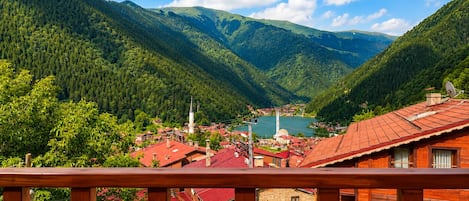 Deluxe Penthouse, Lake View | Terrace/patio