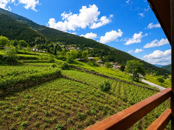 A rural landscape with terraced fields and houses in the background.