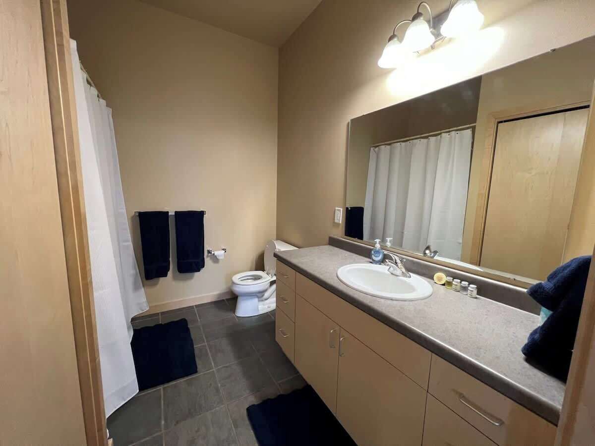 Bathtub, hair dryer, towels