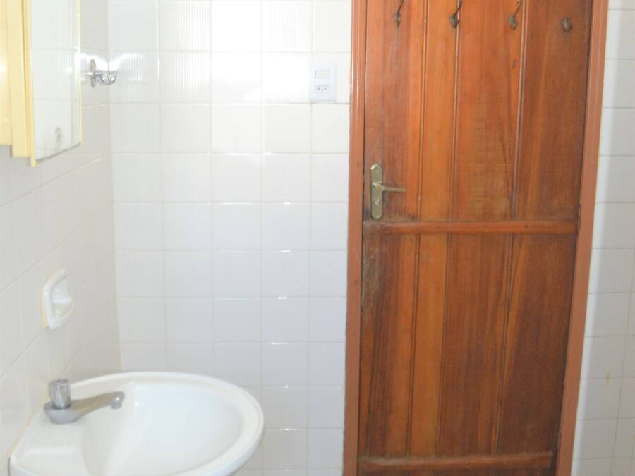 A bathroom with a white sink, a wooden door, and a green rug.
