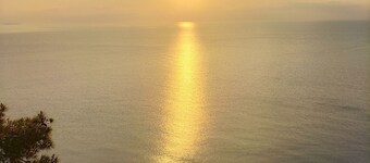자쿰 판시욘