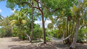 A hammock between trees in a natural setting.