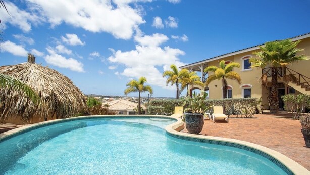 A swimming pool with a thatched roof structure, palm trees, and a building with a tiled roof in the background.