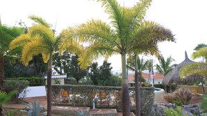 A tropical garden with palm trees, a thatched-roof structure, and a swimming pool.