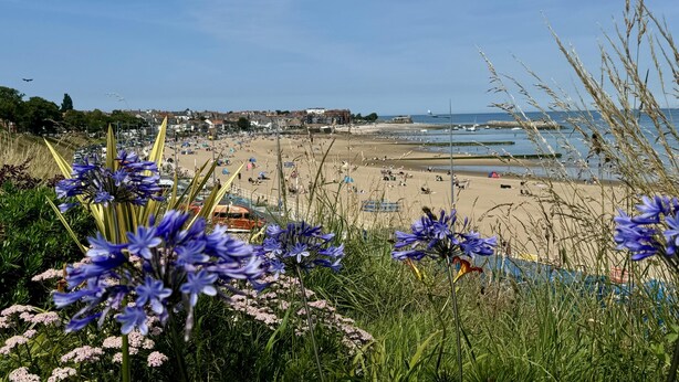 Ein Strand mit blauem Himmel, sandigem Ufer und Gebäuden im Hintergrund.