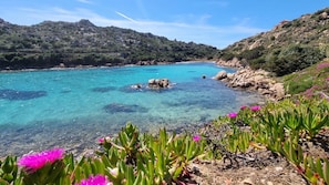 Een kustlandschap met helder turquoise water, rotsachtig terrein en groene begroeiing.