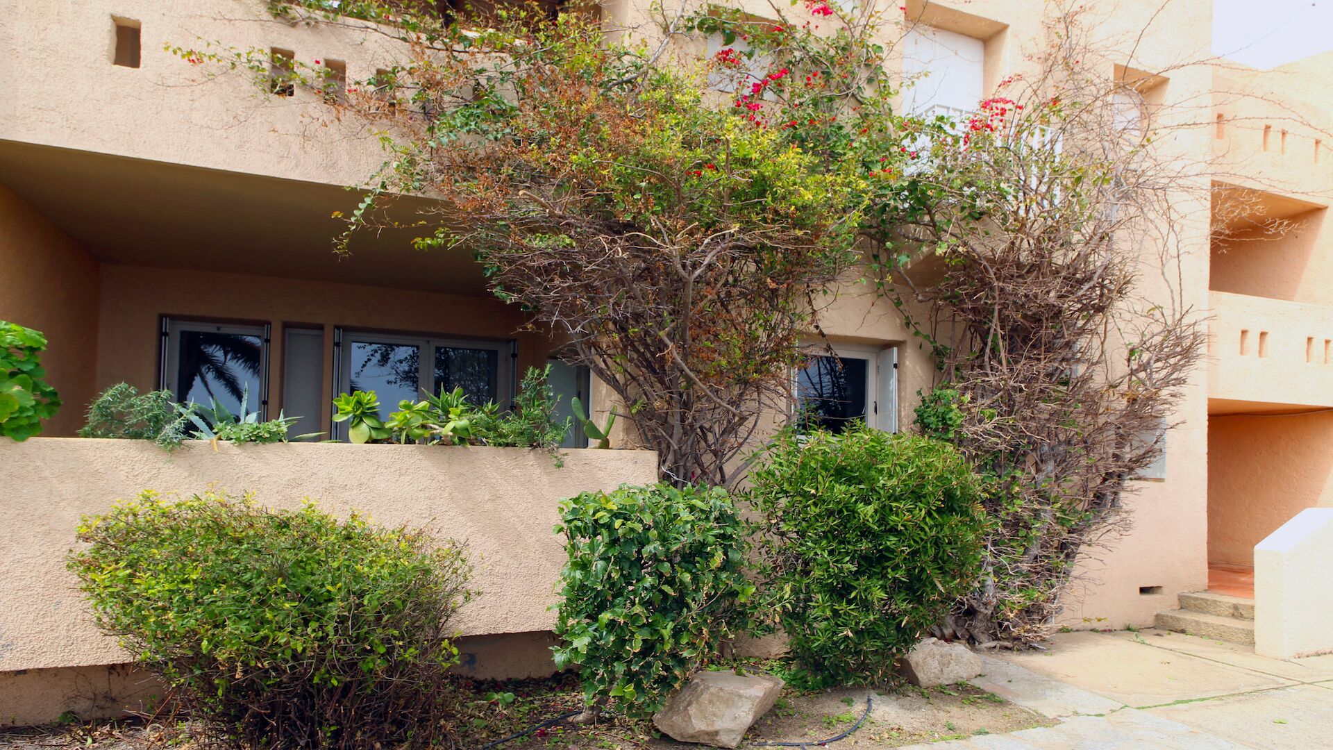 A building with a beige exterior, multiple windows, and various plants including a large tree with red flowers.