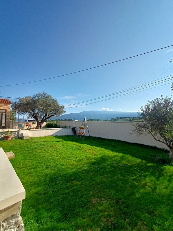 A grassy backyard with a stone wall, a tree, and a metal ladder.