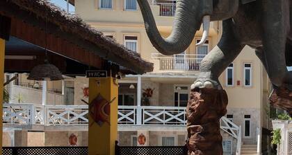 Safari Suit Hotel