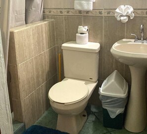 Casa de Suenos | Baño | Regadera, toallas, shampoo 