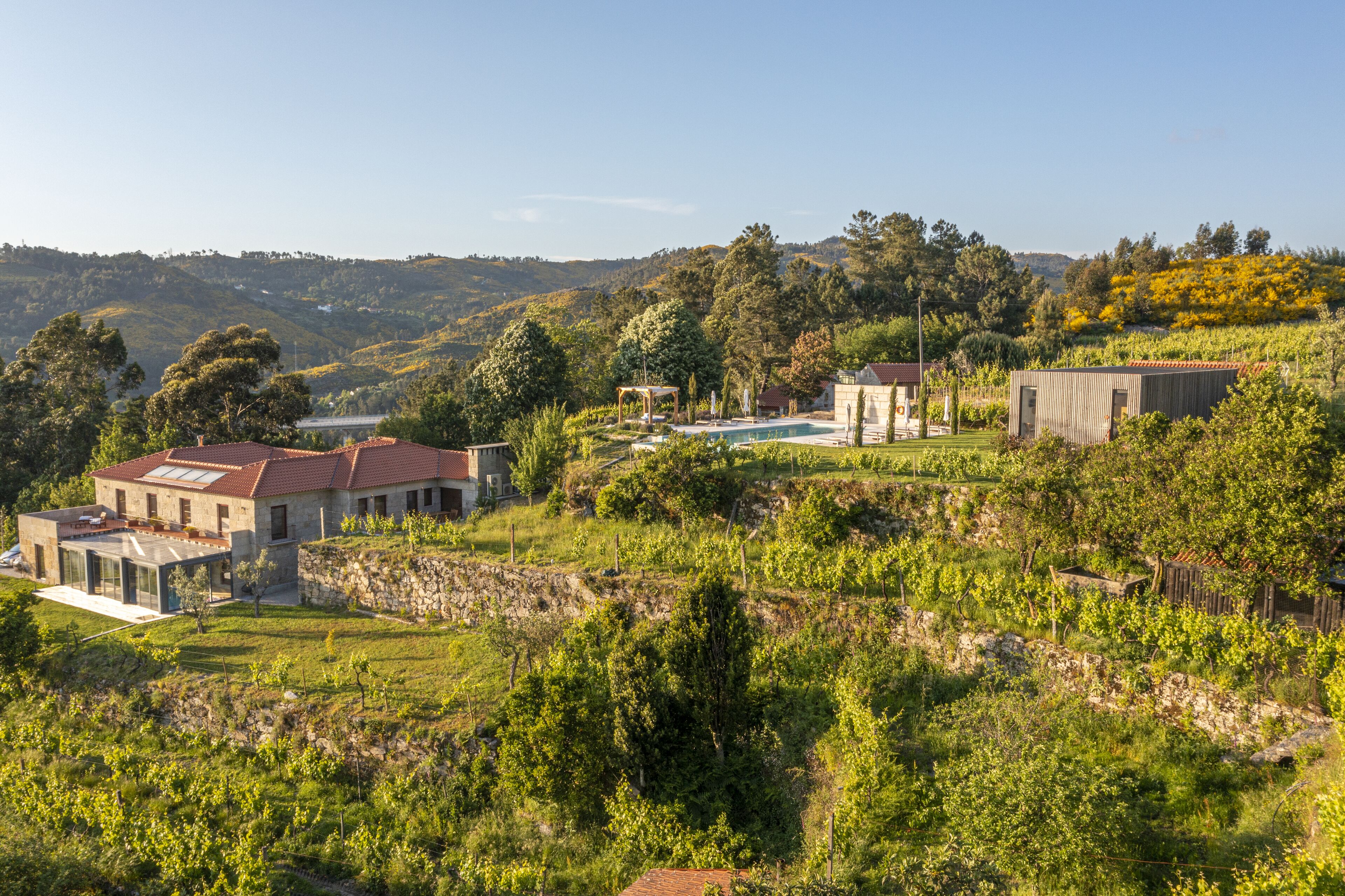 Una casa moderna con piscina, viñedo y muros de piedra.