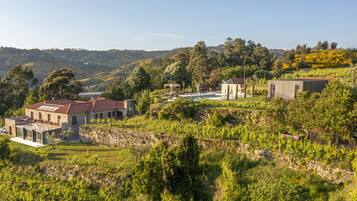 A modern house with a swimming pool, vineyard, and stone walls.