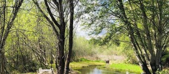 Cozy Wild West Covered Wagon next to River
