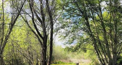 Cozy Wild West Covered Wagon next to River