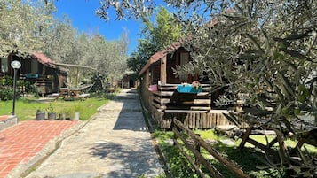 A pathway leading to rustic cabins surrounded by olive trees.