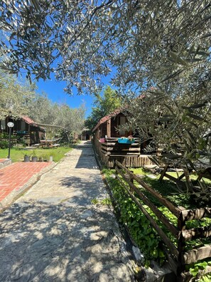 A pathway leading to rustic cabins surrounded by olive trees. - Zeytindagi Bungalow (Edremit)