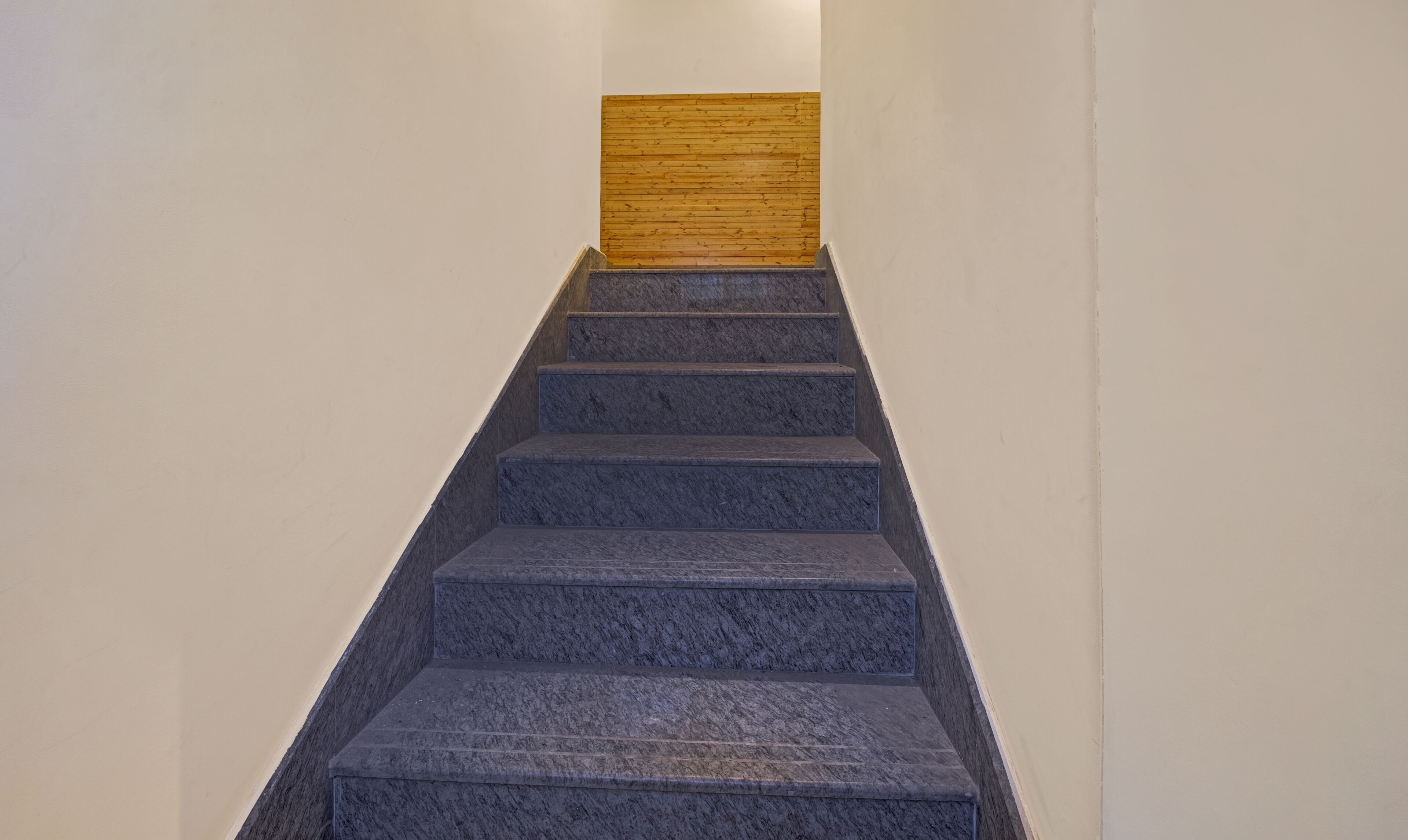 A staircase with dark stone steps leading up to a wooden panel wall.