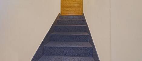 A staircase with dark stone steps leading up to a wooden panel wall.
