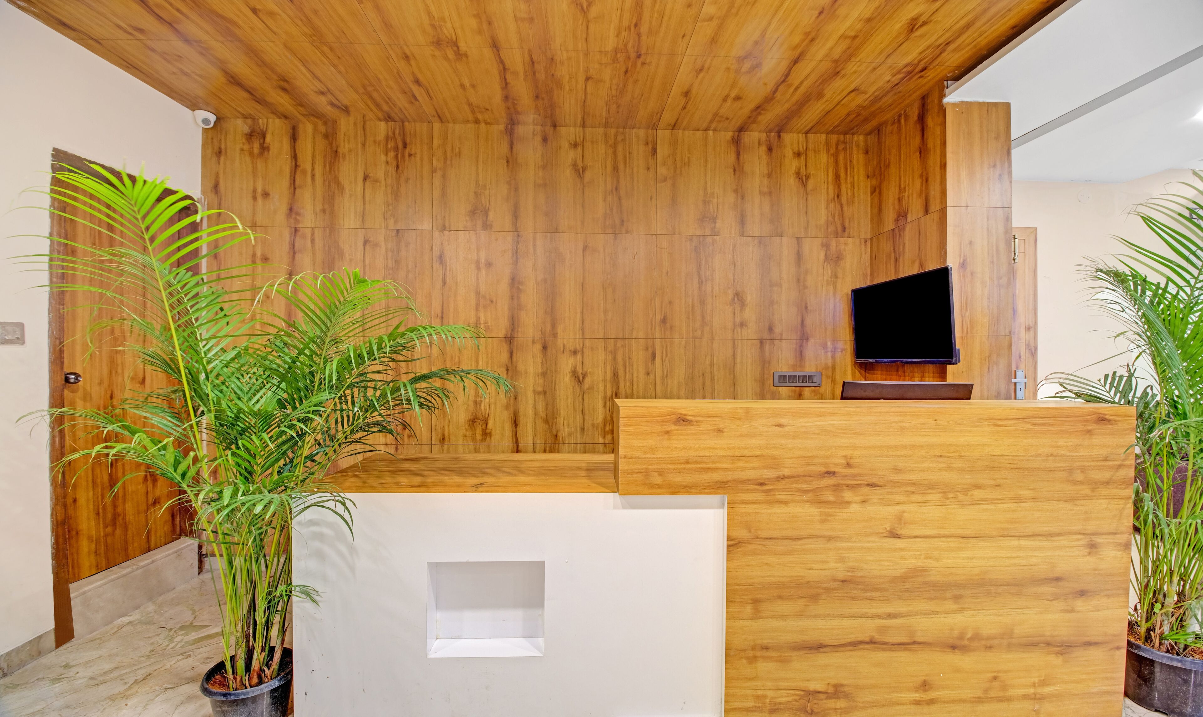 A reception area with a wooden wall, a flat-screen TV, and potted plants.