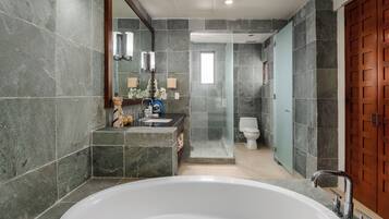 Shower, hair dryer, bidet, towels