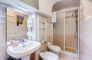 Shower, hair dryer, bidet, towels