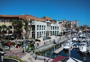 Stroll along the marina's pedestrian walkway, surrounded by palm trees and modern buildings.