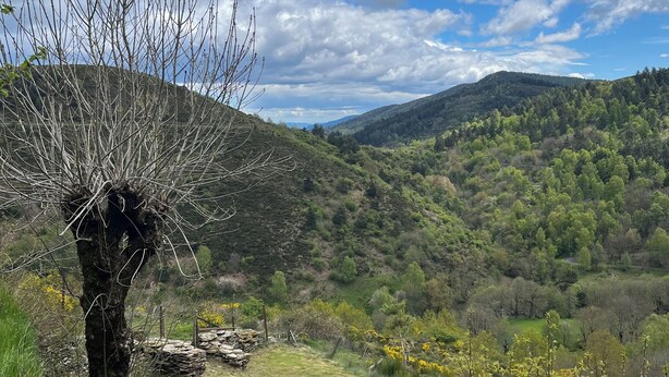 Eine Berglandschaft mit blauem Himmel.