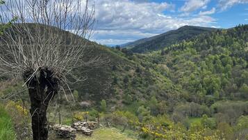 Ăreas de la propiedad