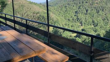 Ăreas de la propiedad