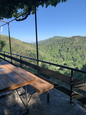 Property grounds - In the heart of the Cévennes National Park on the Stevenson trail (Saint-André-de-Lancize)